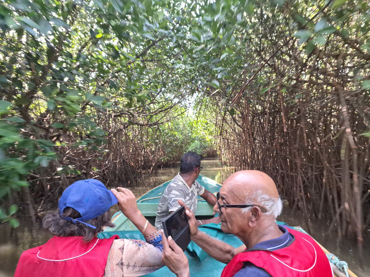 Goa Dolphin Watching